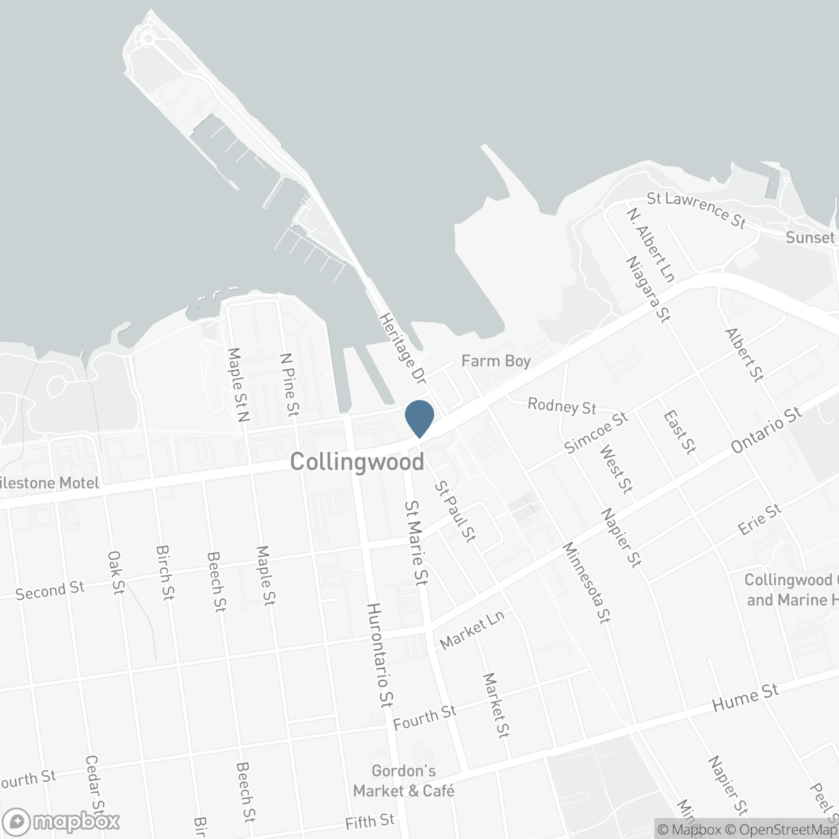 203 - 31 HURON STREET, Collingwood, Ontario L9Y 5T7